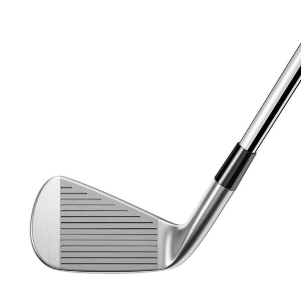 P∙790 Irons - Image 2